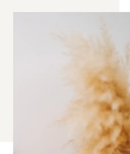 wpis blogowy 1 grafika